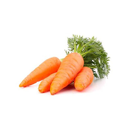 Zanahoria (4-5 uni aprox) 1Kg